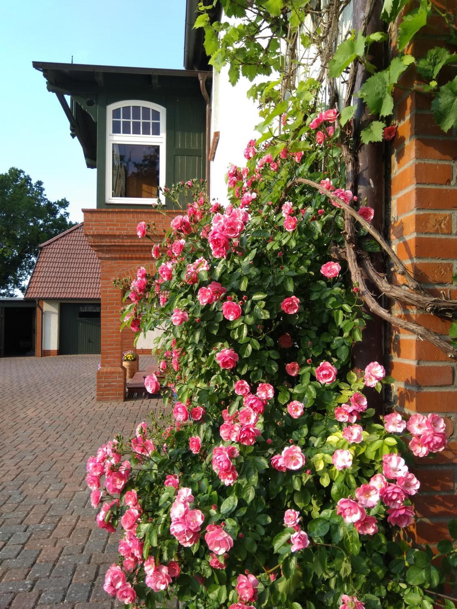 Apartment Landtraum Im Traumland Mecklenburg *